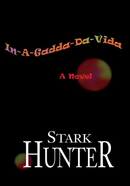 Cover of the book In-A-Gadda-Da-Vida by Stark Hunter, Xlibris US