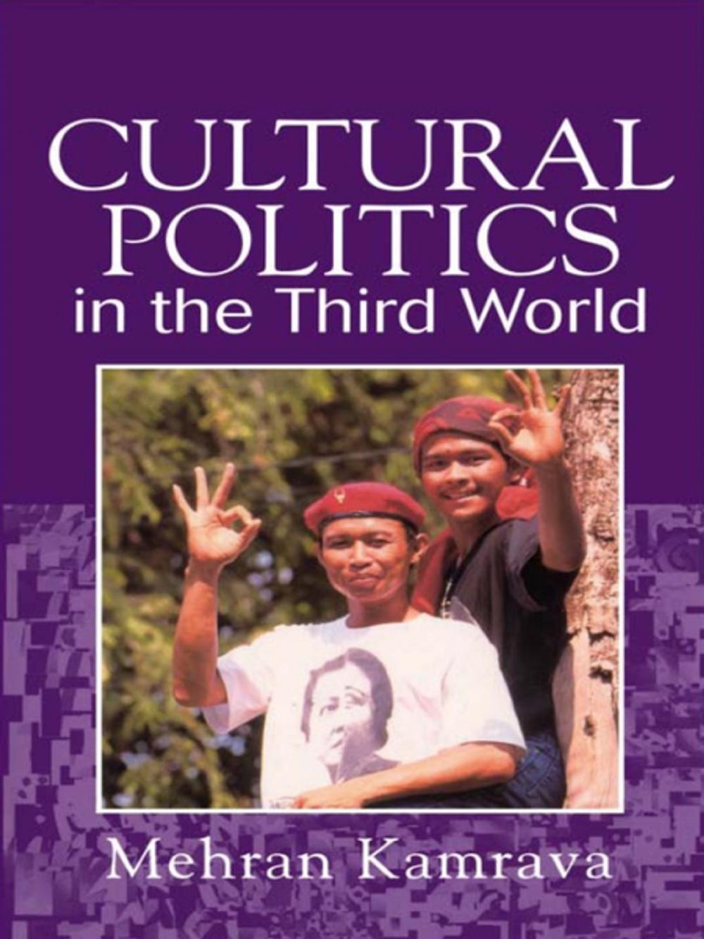 Big bigCover of Cultural Politics in the Third World