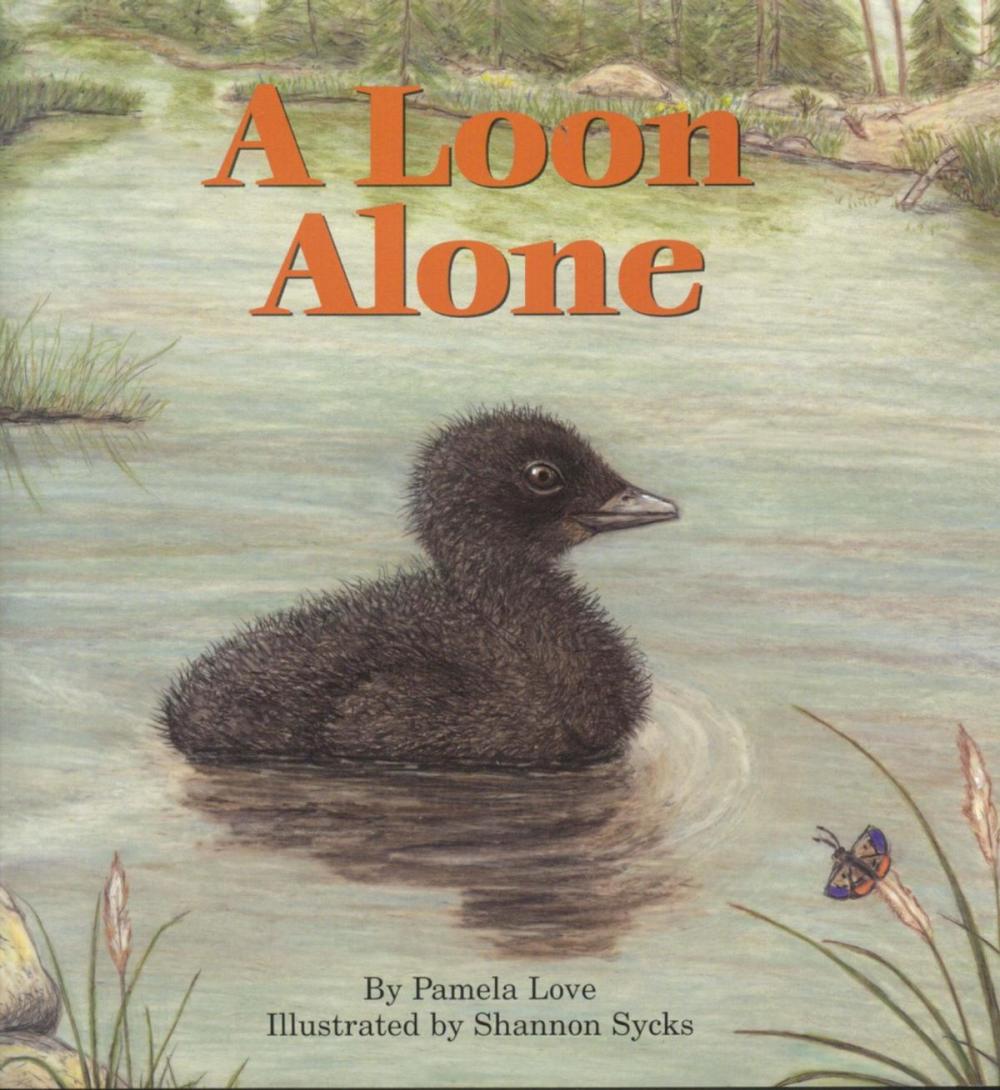 Big bigCover of A Loon Alone