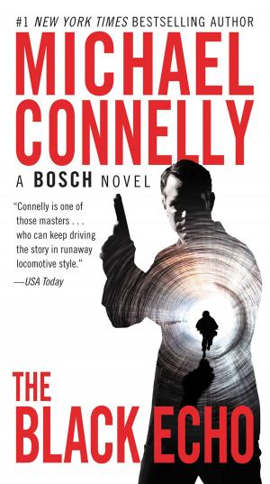 Cover of the book The Black Echo by Michael Connelly