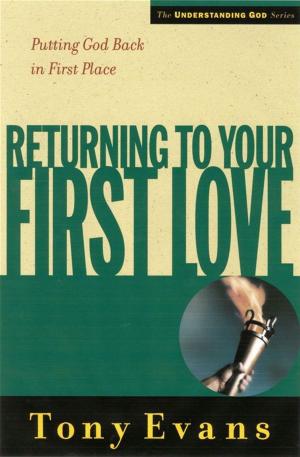 Cover of the book Returning to Your First Love by Brona Fanelle