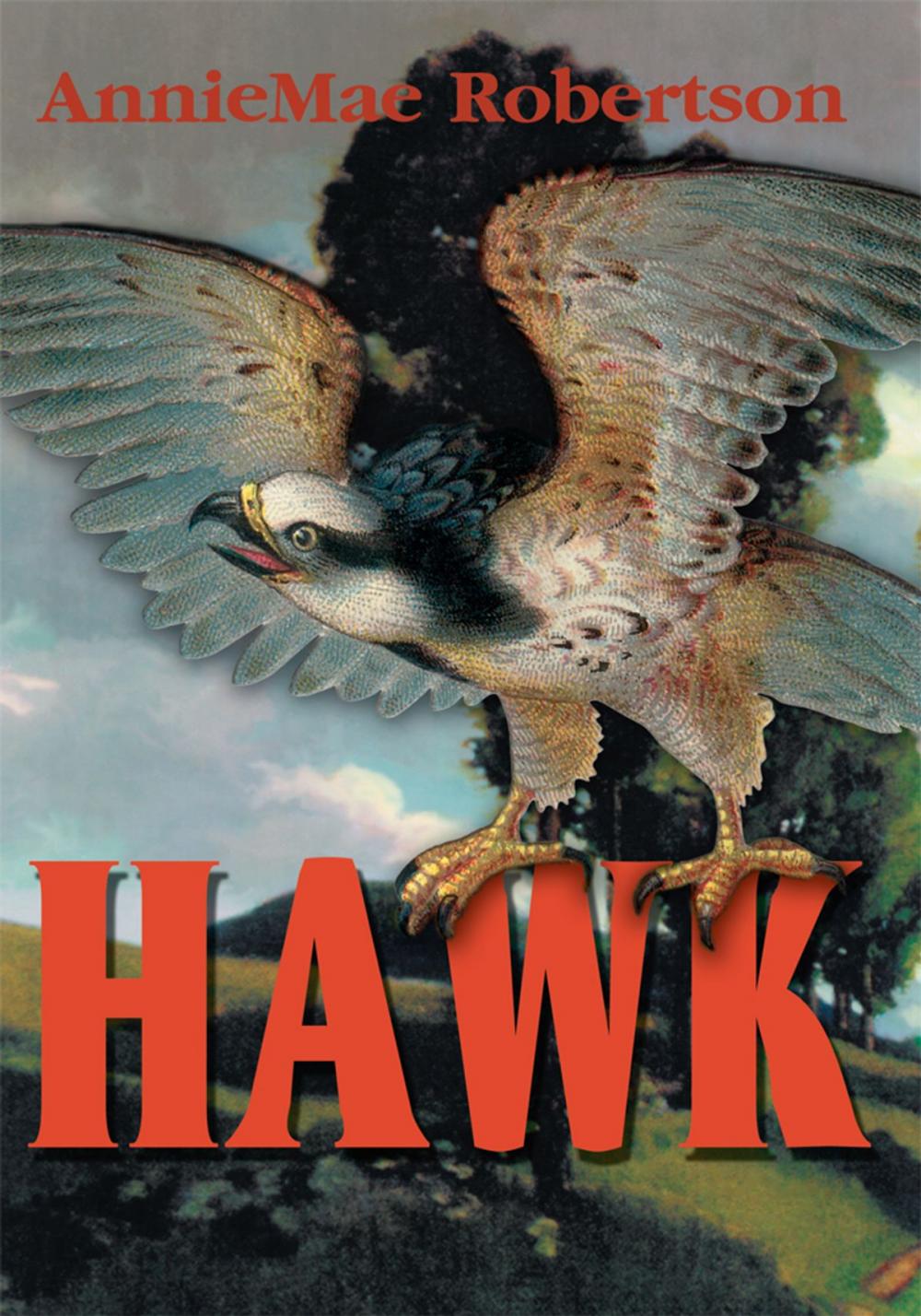 Big bigCover of Hawk