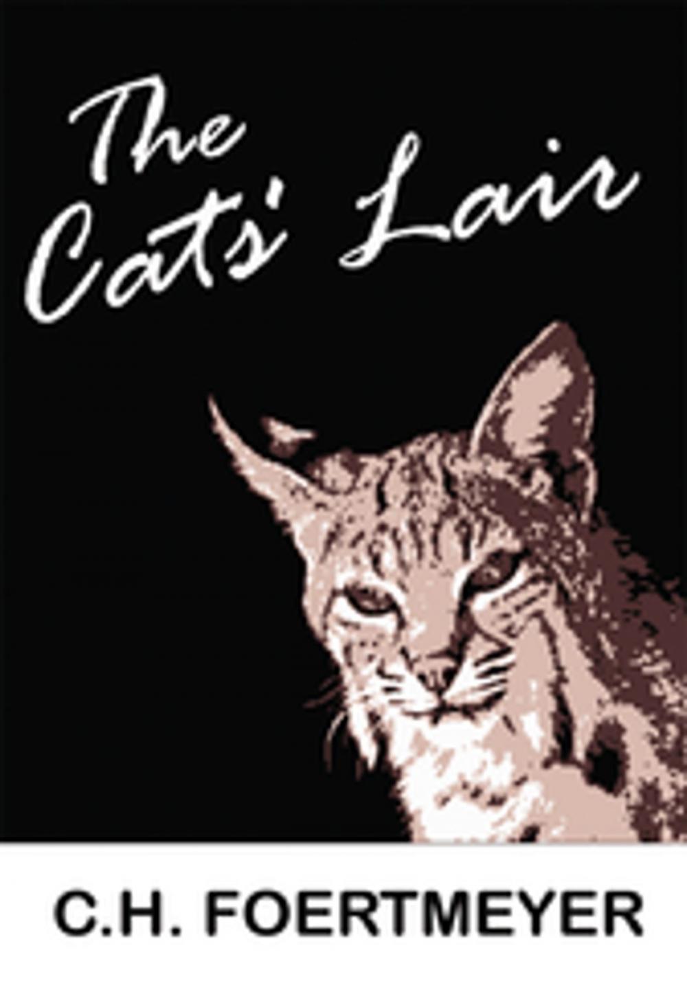 Big bigCover of The Cats' Lair