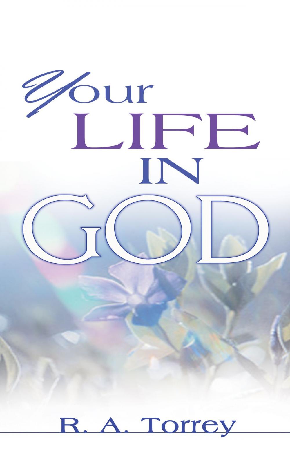 Big bigCover of Your Life in God