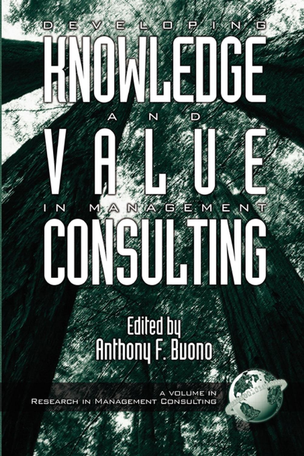 Big bigCover of Developing Knowledge and Value in Management Consulting