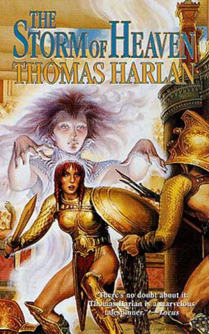 Cover of the book The Storm of Heaven by R. R. Hildebrand