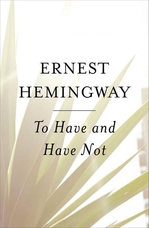 Cover of the book To Have and Have Not by Ernest Hemingway, Scribner