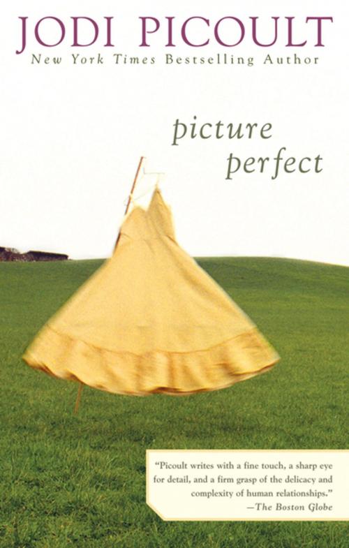 Cover of the book Picture Perfect by Jodi Picoult, Penguin Publishing Group