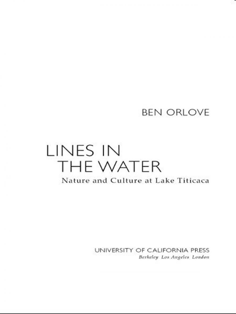 Big bigCover of Lines in the Water