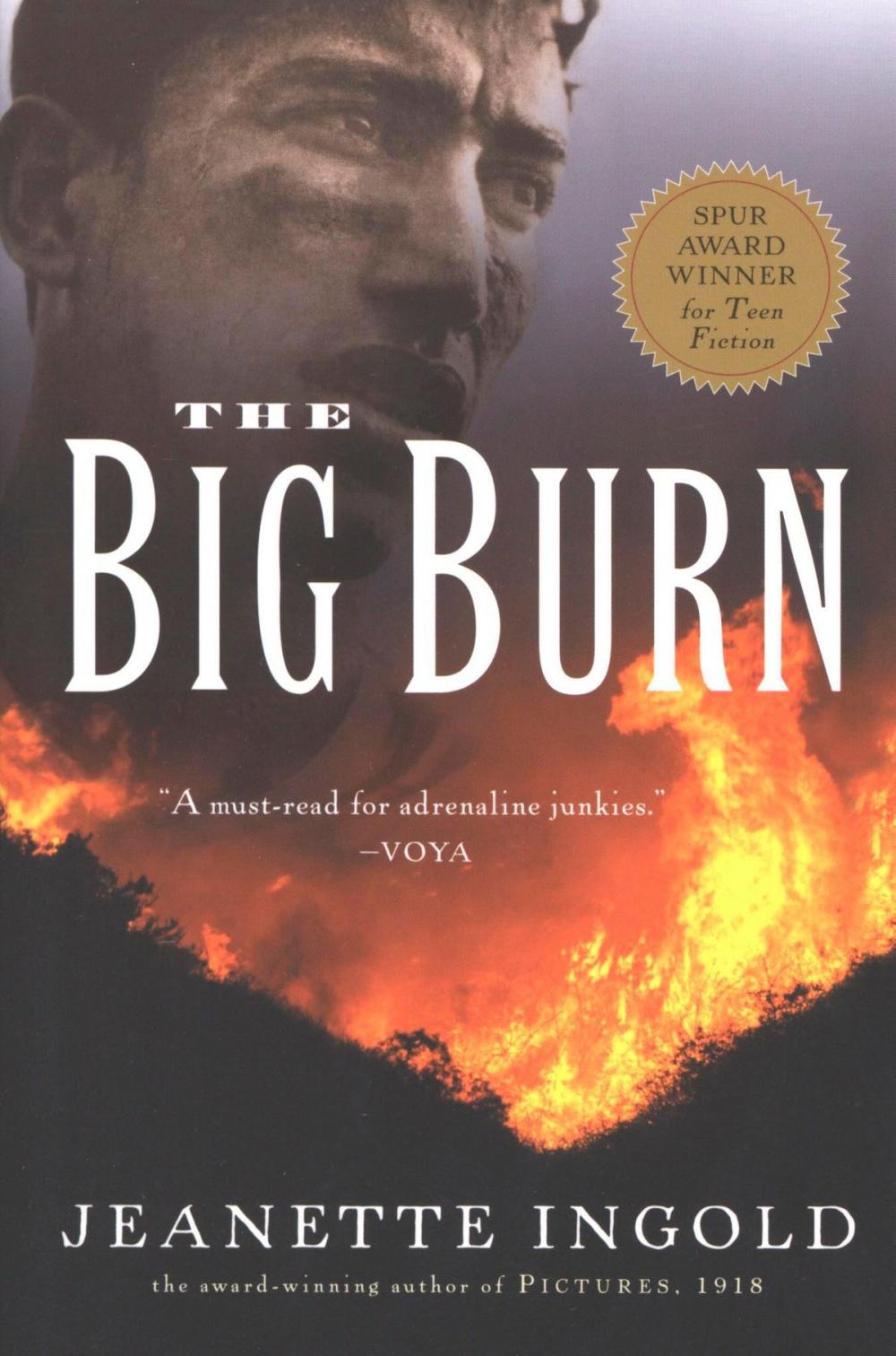 Big bigCover of The Big Burn