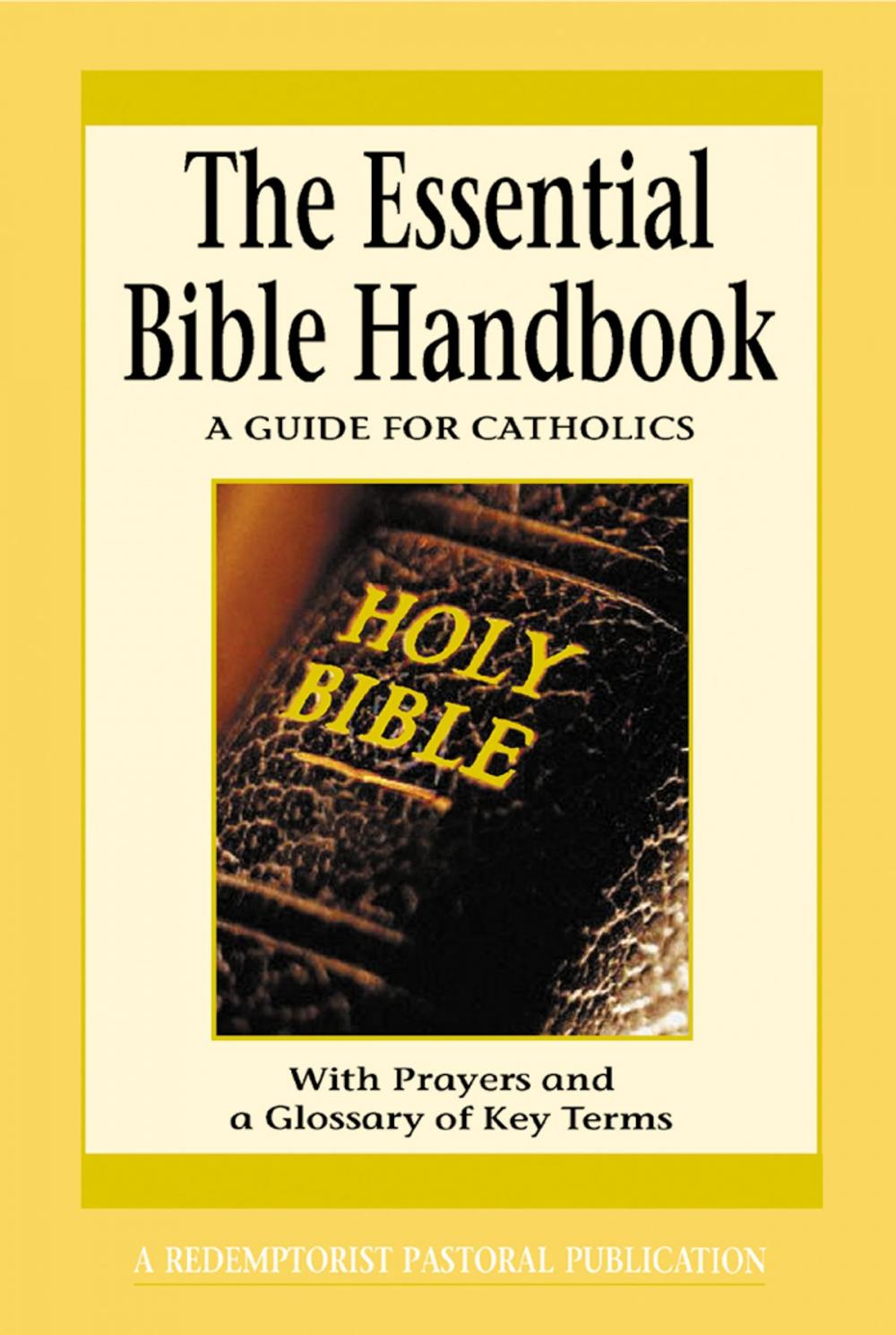 Big bigCover of The Essential Bible Handbook