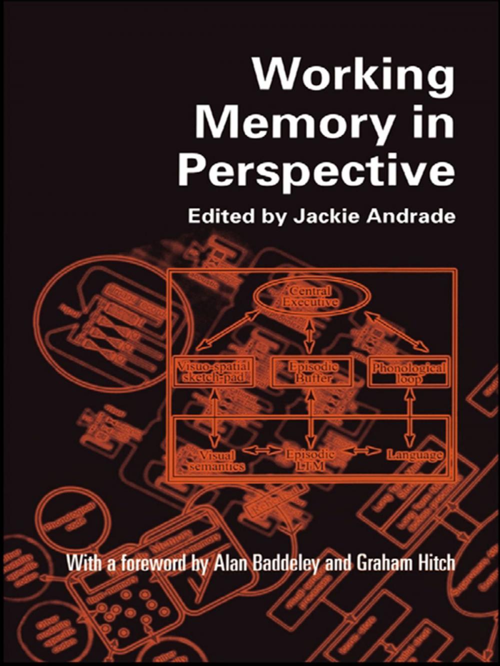 Big bigCover of Working Memory in Perspective