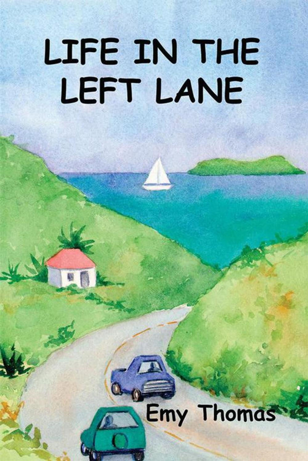 Big bigCover of Life in the Left Lane