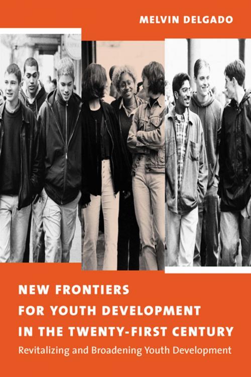 Cover of the book New Frontiers for Youth Development in the Twenty-First Century by Melvin Delgado, Columbia University Press