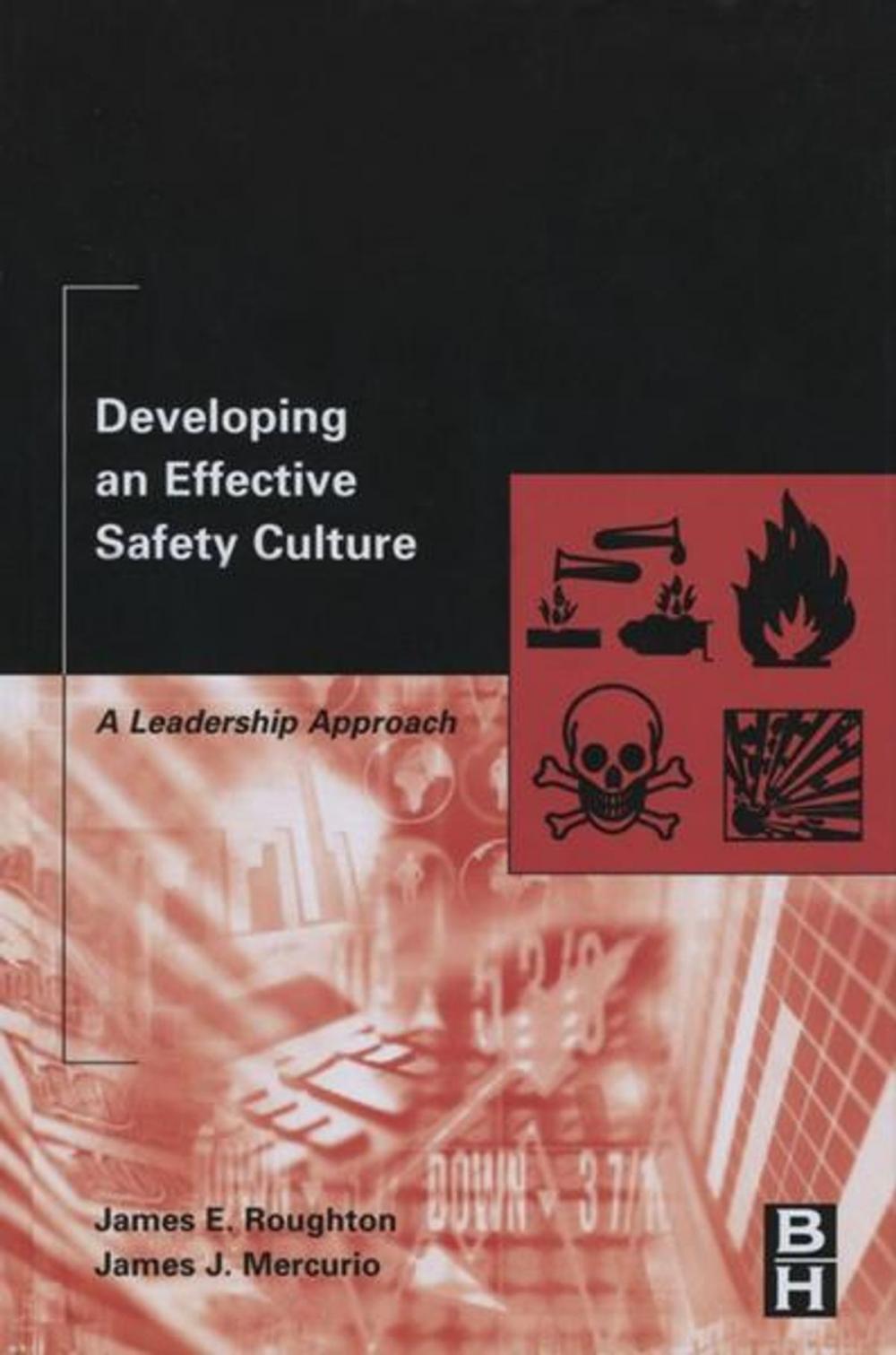 Big bigCover of Developing an Effective Safety Culture