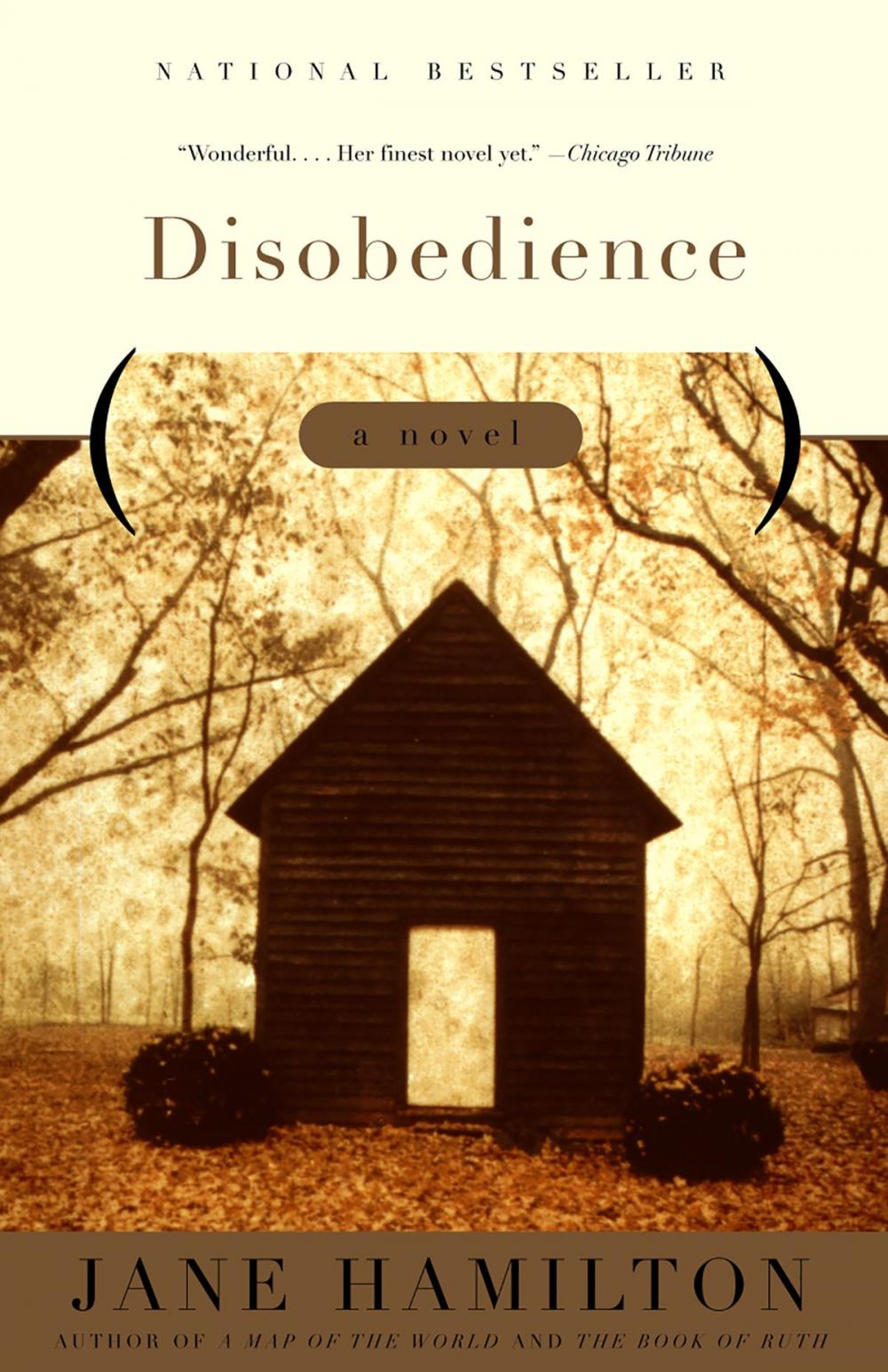 Big bigCover of Disobedience