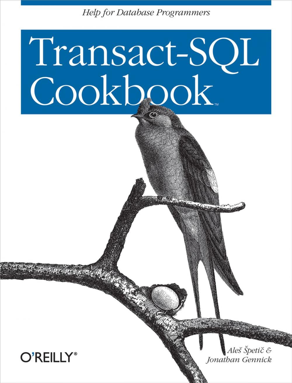 Big bigCover of Transact-SQL Cookbook