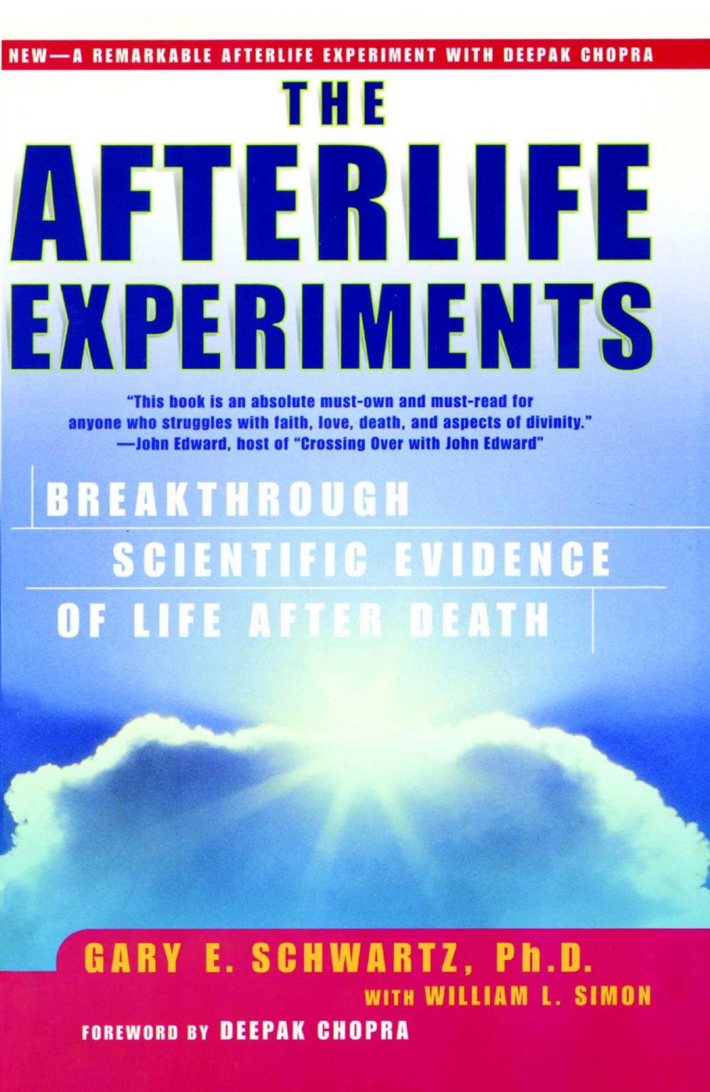 Big bigCover of The Afterlife Experiments