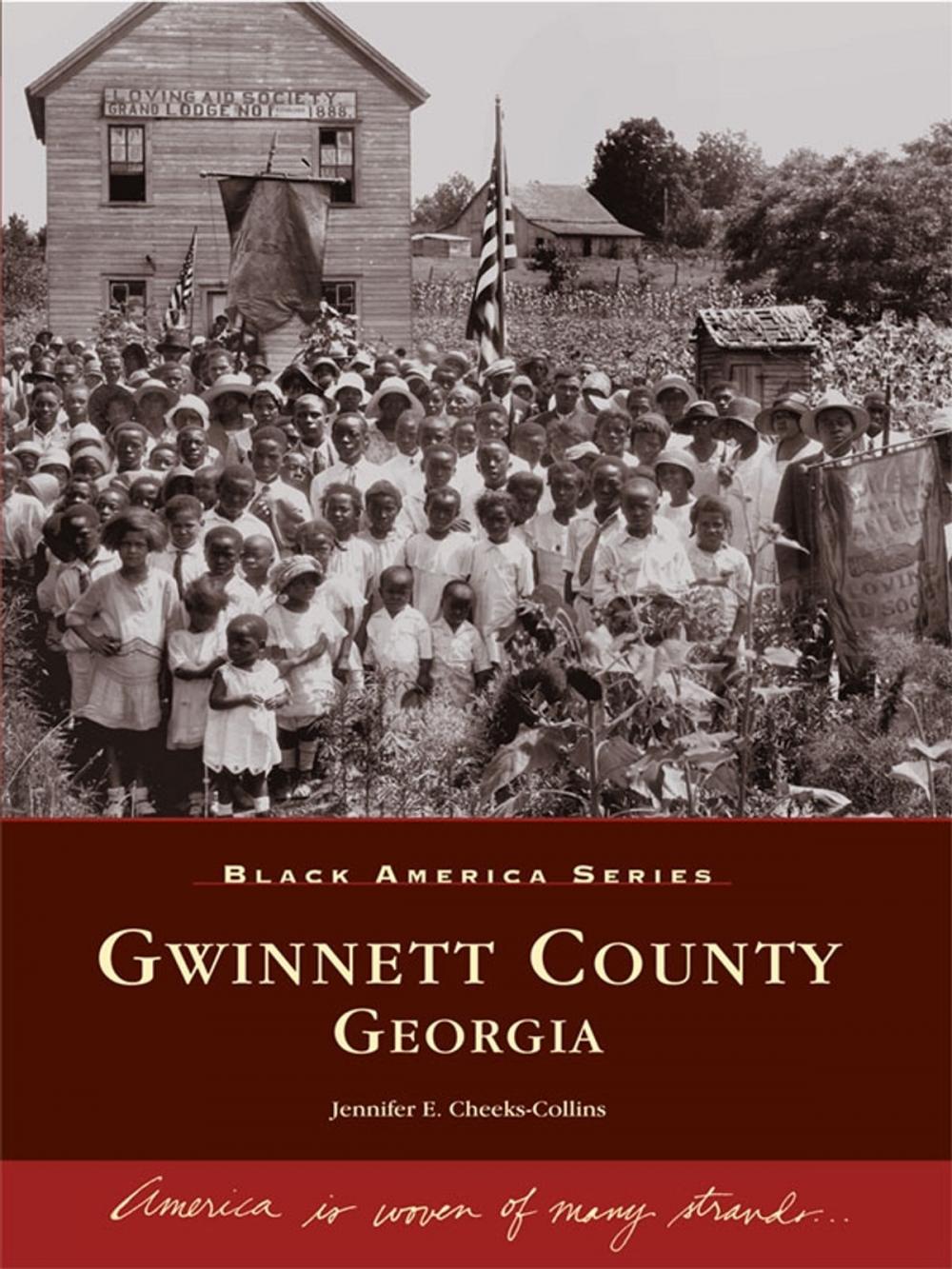 Big bigCover of Gwinnett County, Georgia