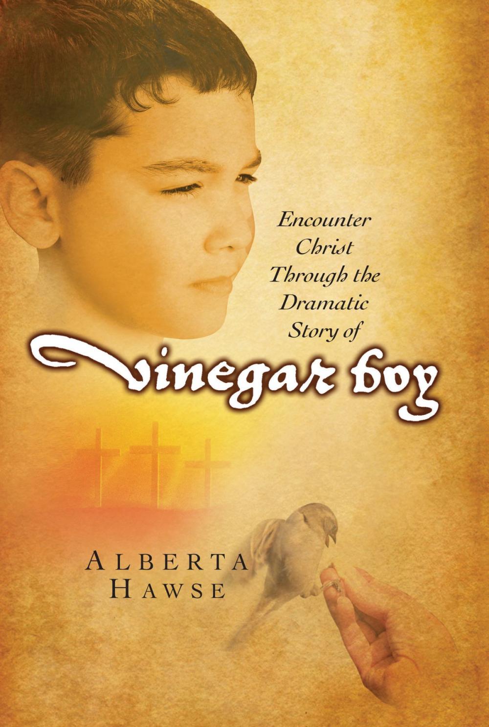 Big bigCover of Vinegar Boy