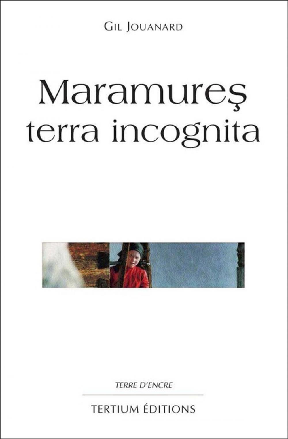 Big bigCover of Maramures terra incognita