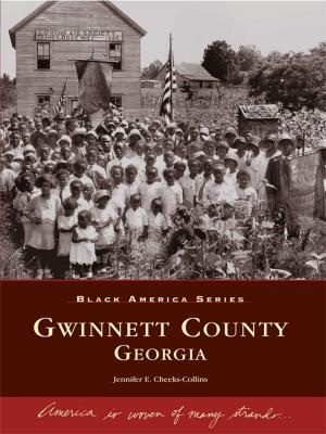 Book cover of Gwinnett County, Georgia