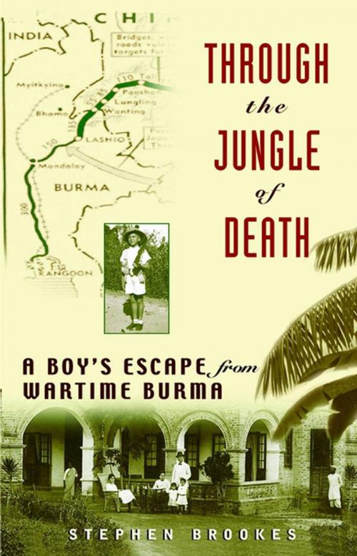 Cover of the book Through the Jungle of Death by Stephen Brookes, Turner Publishing Company