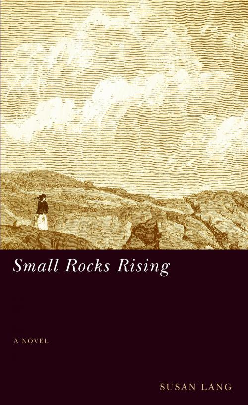 Cover of the book Small Rocks Rising by Susan Lang, University of Nevada Press