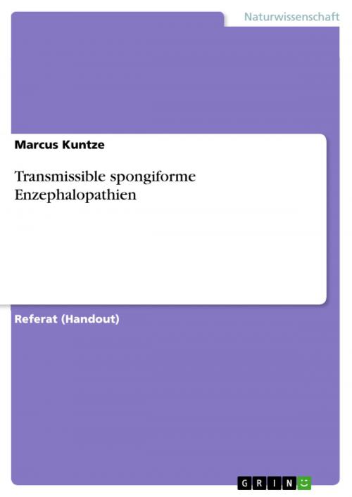 Cover of the book Transmissible spongiforme Enzephalopathien by Marcus Kuntze, GRIN Verlag