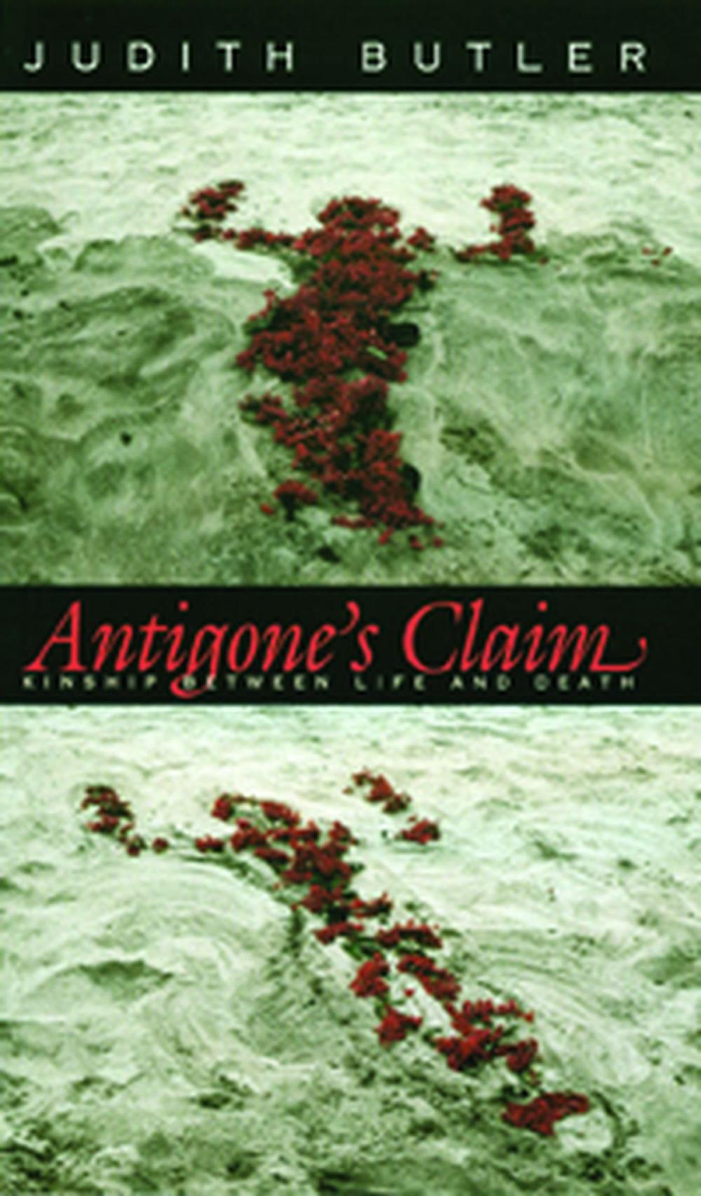 Big bigCover of Antigone's Claim