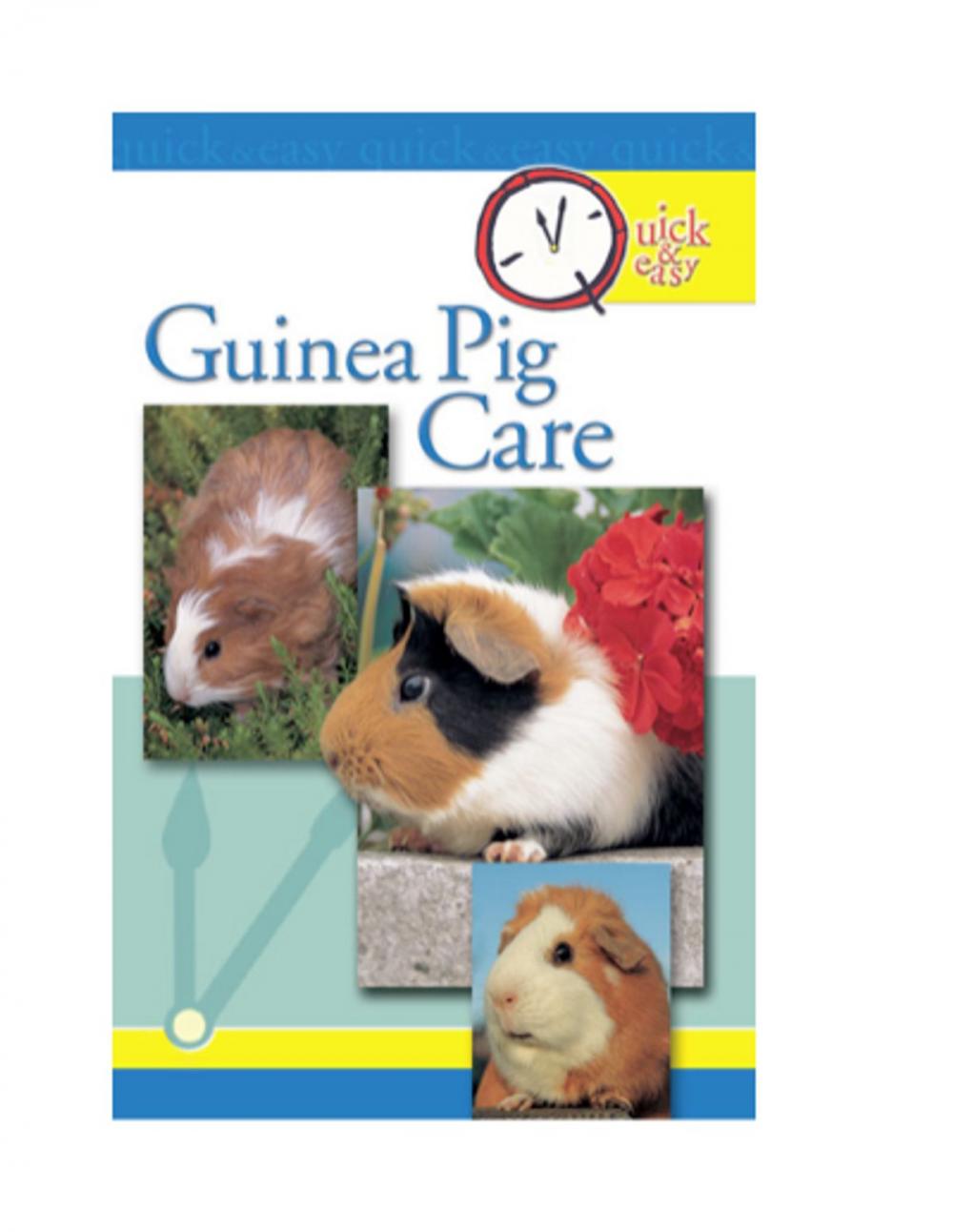 Big bigCover of Quick and Easy Guinea Pig Care