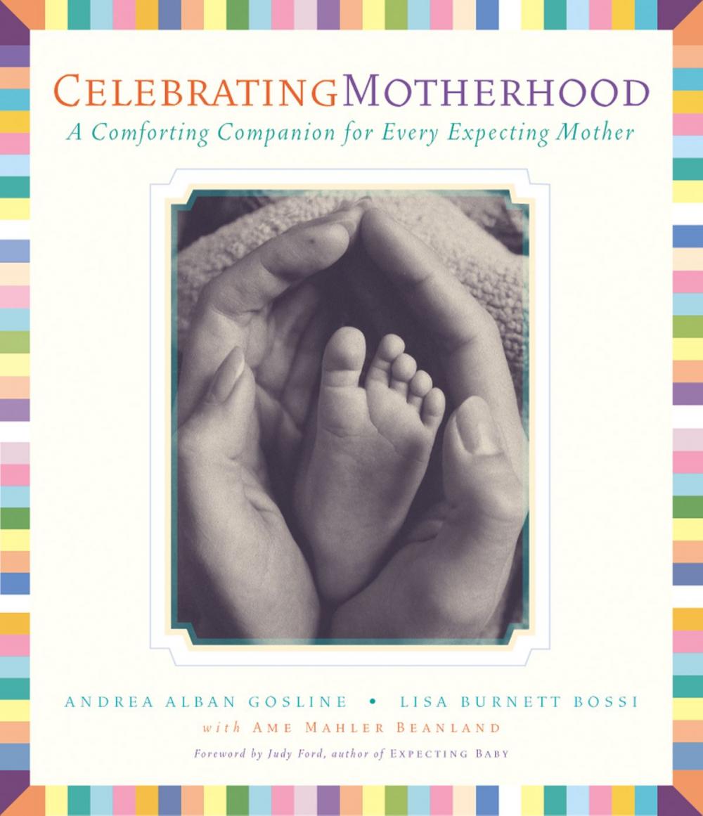 Big bigCover of Celebrating Motherhood