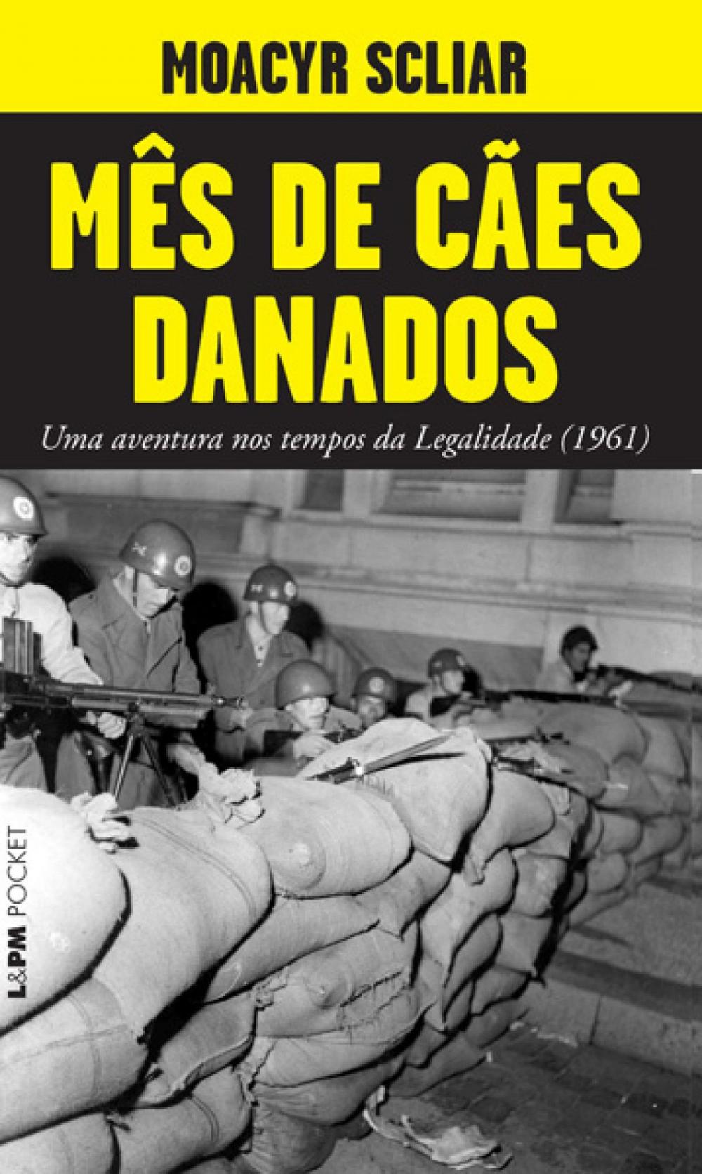 Big bigCover of Mês de cães danados