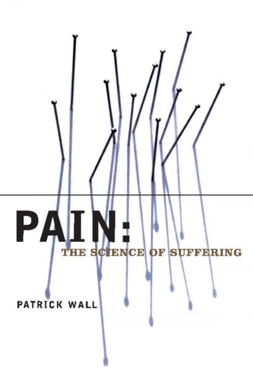 Cover of the book Pain by Patrick Wall, Columbia University Press