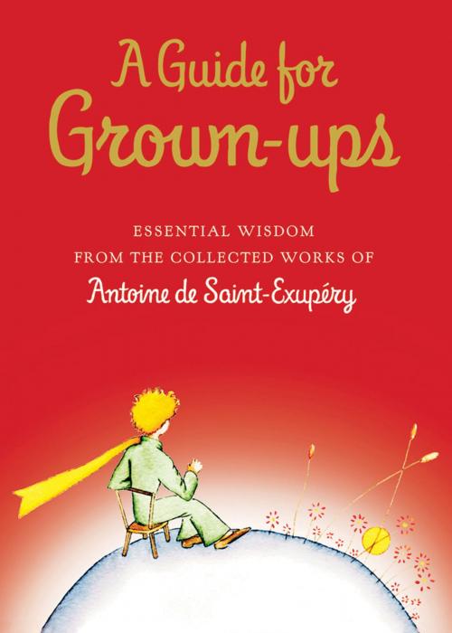 Cover of the book A Guide for Grown-ups by Antoine de Saint-Exupéry, HMH Books