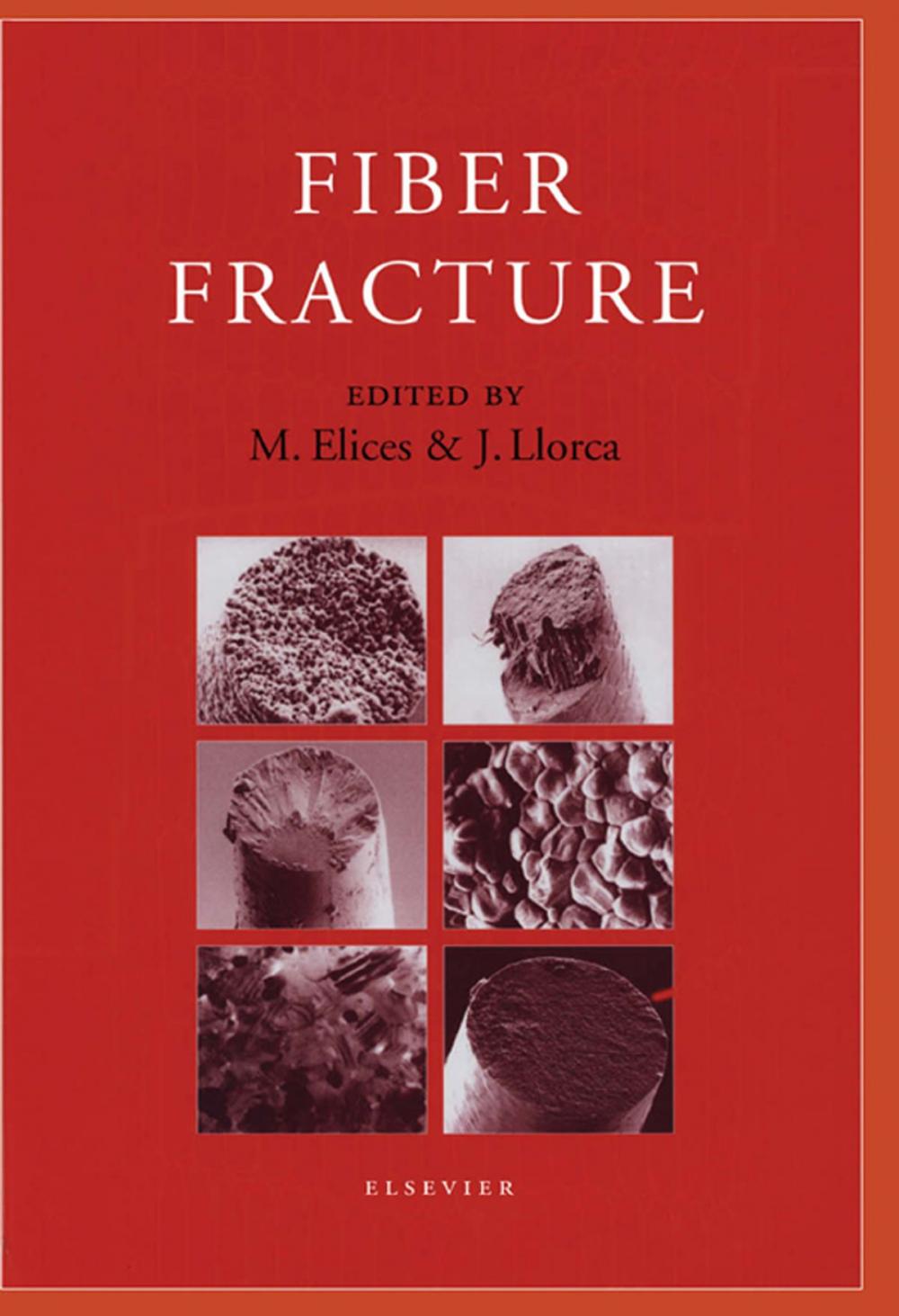 Big bigCover of Fiber Fracture