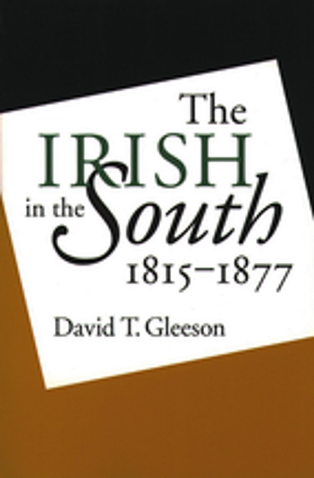 Big bigCover of The Irish in the South, 1815-1877