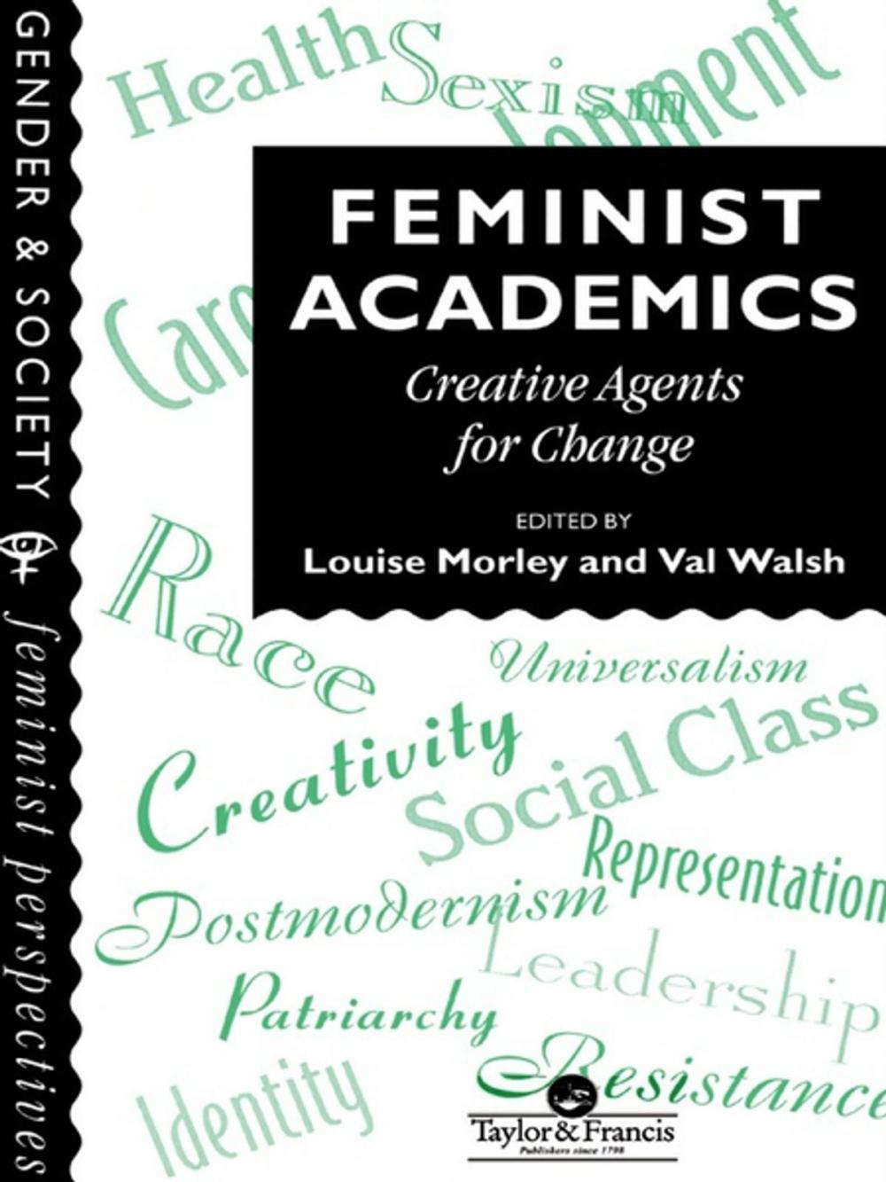 Big bigCover of Feminist Academics