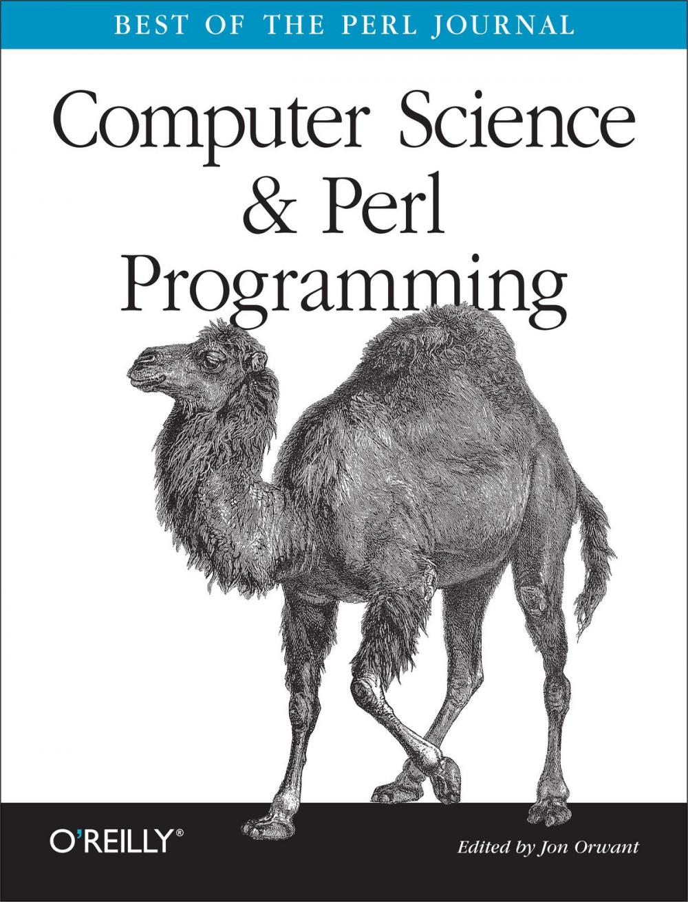 Big bigCover of Computer Science & Perl Programming