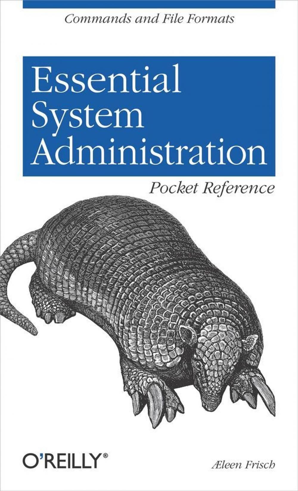 Big bigCover of Essential System Administration Pocket Reference