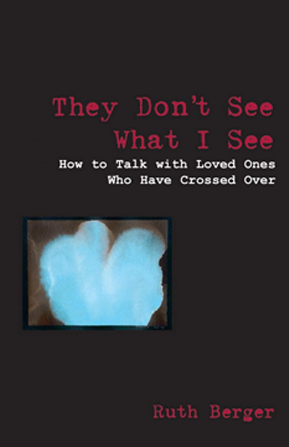 Big bigCover of They Don't See What I See: How To Talk With Loved Ones Who Have Crossed Over