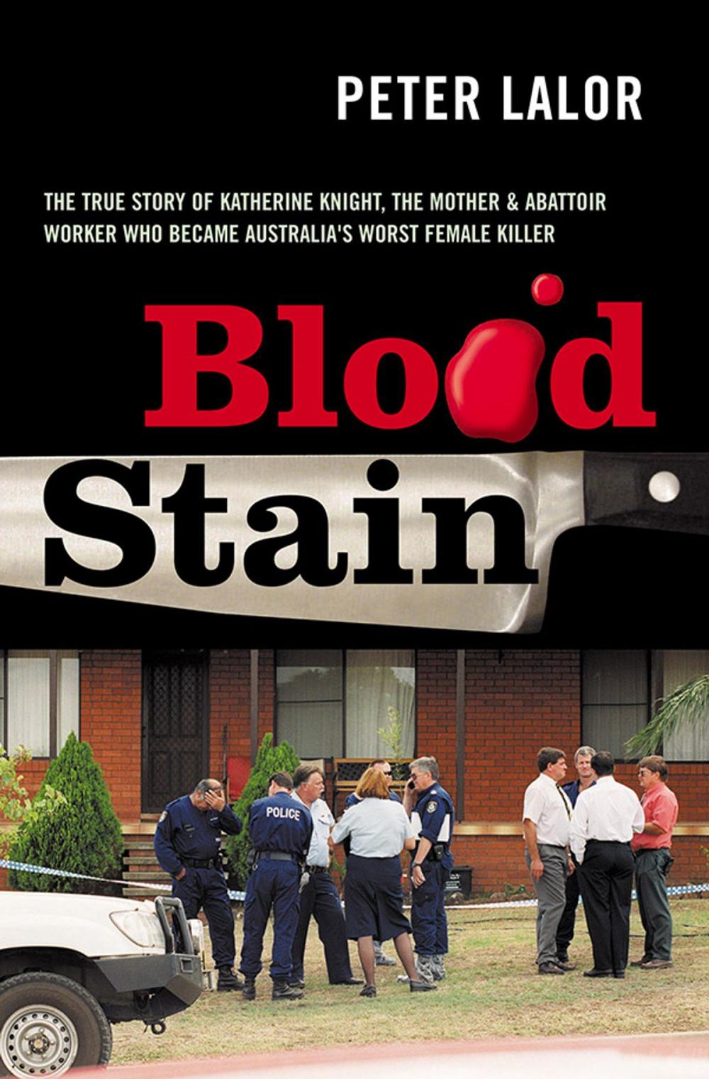 Big bigCover of Blood Stain