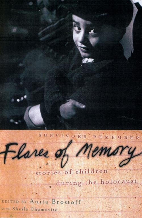 Cover of the book Flares of Memory by , Oxford University Press