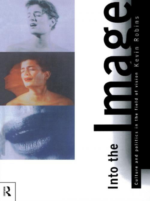 Cover of the book Into the Image by Kevin Robins, Taylor and Francis