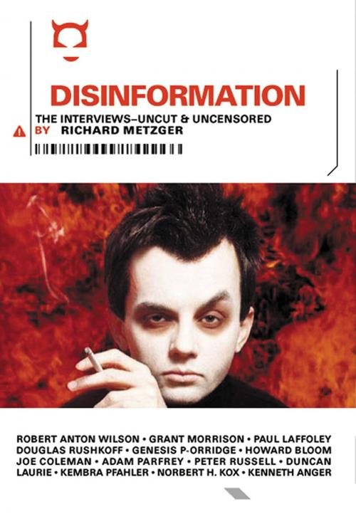 Cover of the book Disinformation: The Interviews by Richard Metzger, Red Wheel Weiser