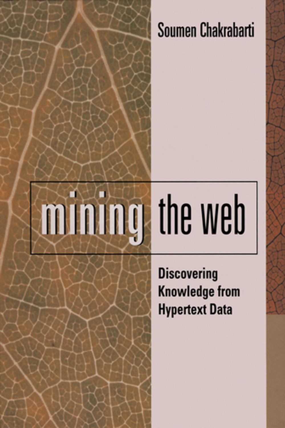 Big bigCover of Mining the Web