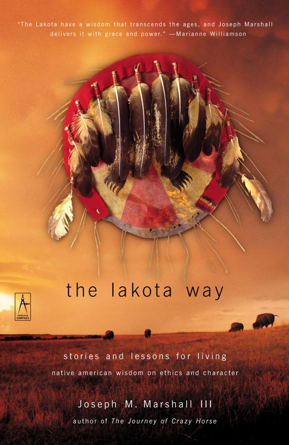 Big bigCover of The Lakota Way