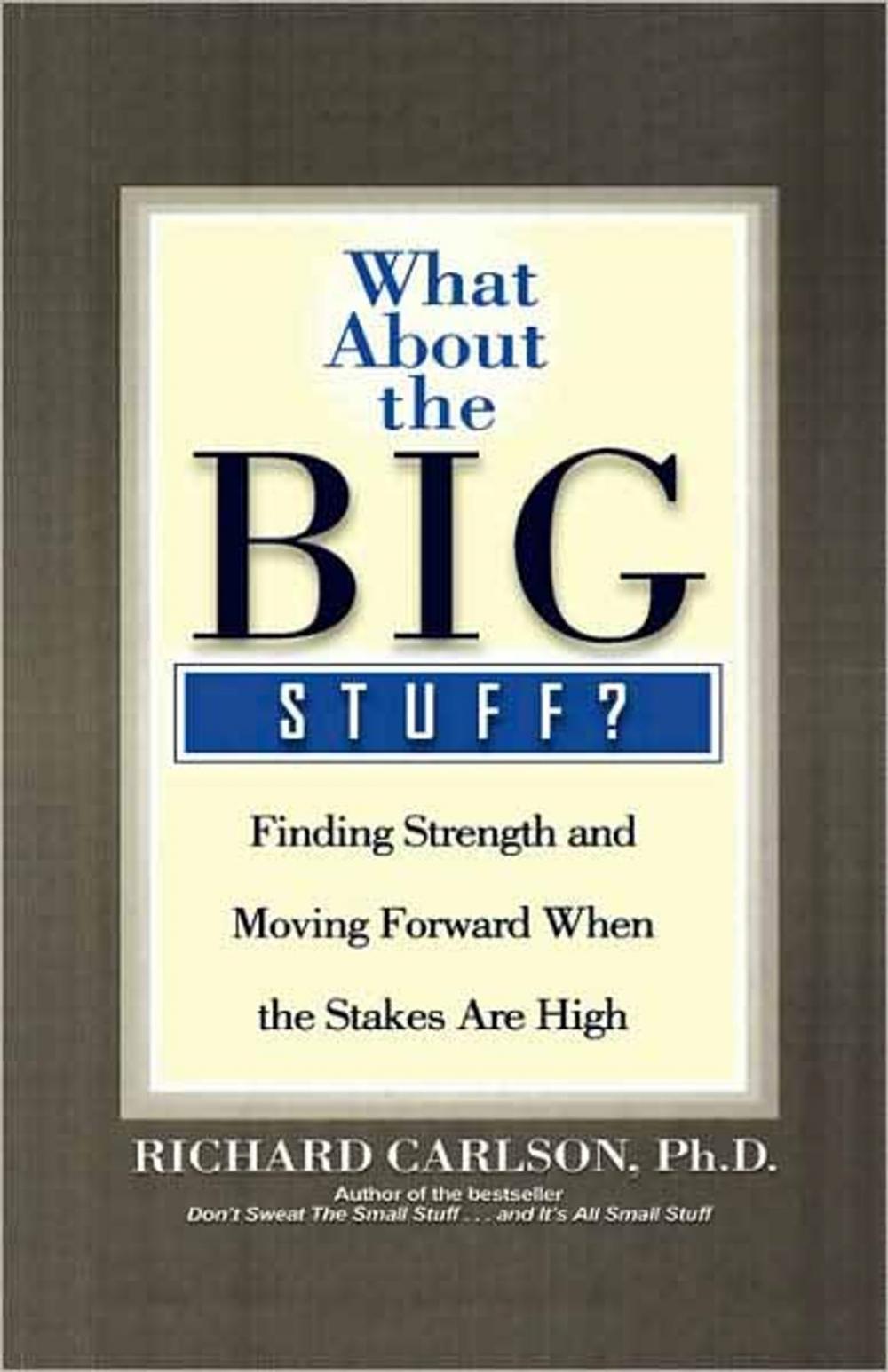 Big bigCover of What About the Big Stuff?