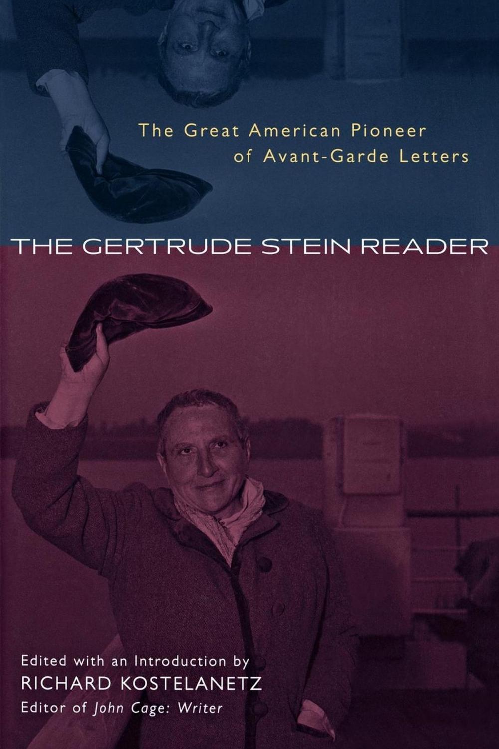 Big bigCover of The Gertrude Stein Reader