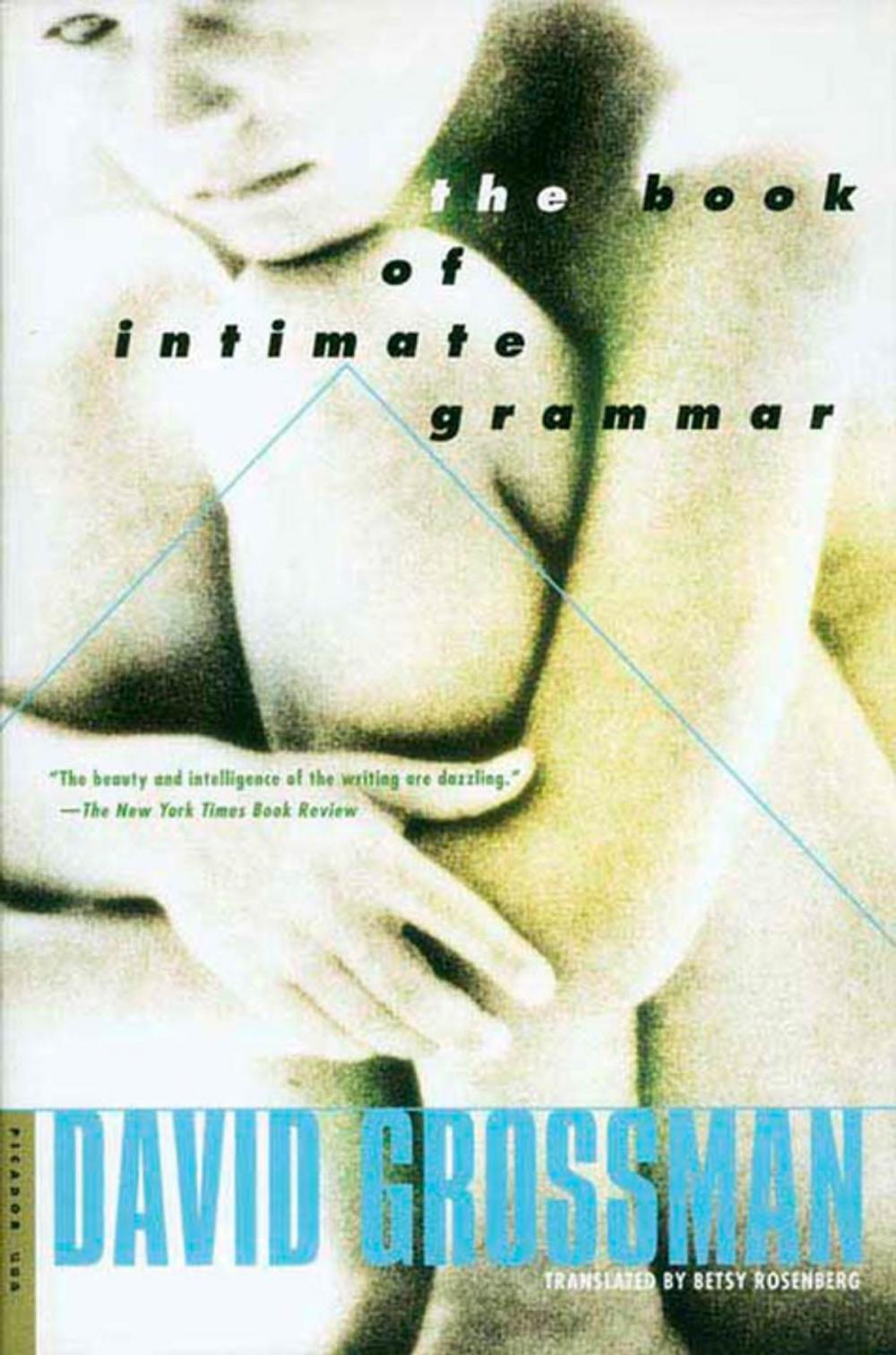 Big bigCover of The Book of Intimate Grammar